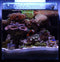 CAD Lights 18 Gallon Mini-II Full Reef Glass Aquarium Package (1818-M)