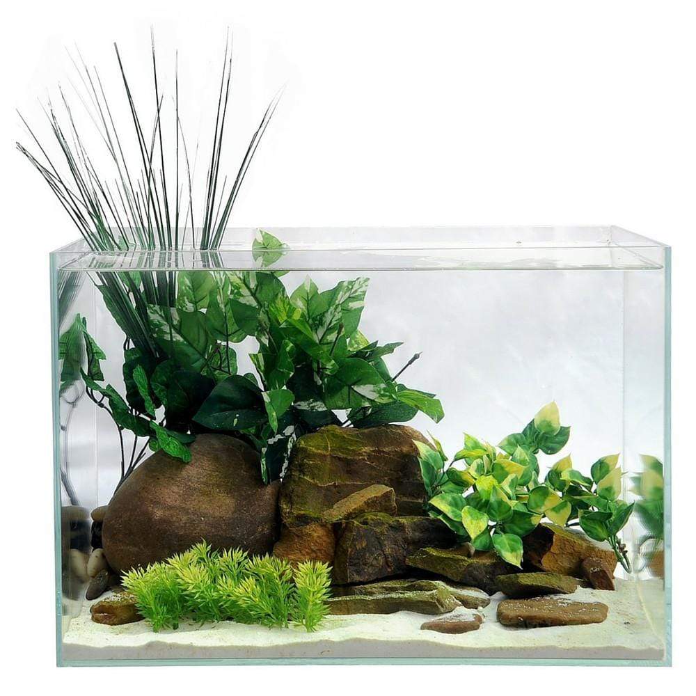 Custom Fish Tank Builders In Las Vegas Key Points For Choosing A Custom ...