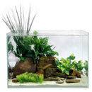CAD Lights 5 Gallon Zen Desktop Rimless Glass Aquarium 14” x 8.25” x 9” (5G-Zen)