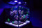 CAD Lights 50 Gallon Artisan II Cube - Reef Saltwater Glass Aquarium w/ Cabinet (1850C-ART)