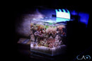CAD Lights 8 Gallon Mini All-In-One Glass Aquarium (1808-M)