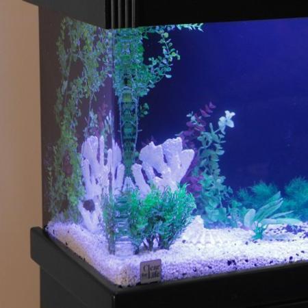 Clear for Life 60 Gallon Cube UniQuarium 3-in-1 Fresh or Saltwater Acrylic Aquarium