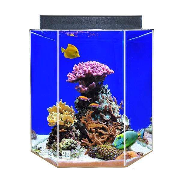Clear For Life Hexagon UniQuarium 3-in-1 Fresh or Saltwater Acrylic Aquarium 35 Gallons - 21" Dia x 24" High / Sapphire Blue