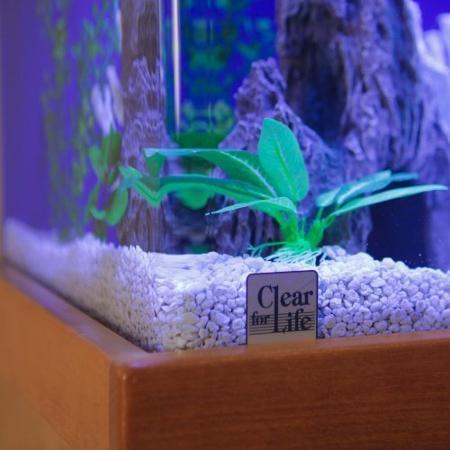 Clear for Life Rectangle 40 Gallon Acrylic Aquarium  - Fresh or Saltwater