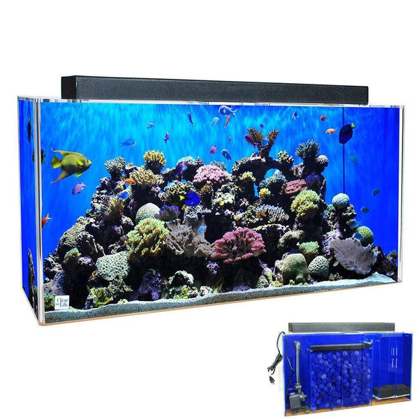 90 gallon aquarium discount filter