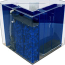 Clear For Life UniQuarium Quadra 3-in-1 Fresh or Saltwater Corner Acrylic Aquarium 50 Gallons - 24"L x 24"W x 24"H / Sapphire Blue