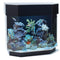 Desktop 12 Gallon UniQuarium - Flat Back Hexagon 3-in-1 Fresh or Saltwater Acrylic Aquarium Sapphire Blue