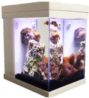 JBJ 3 Gallon Cubey - Fresh or Saltwater Glass Aquarium - White (MT-208DX-W)