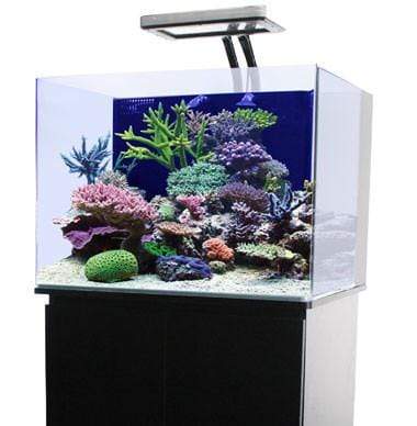 JBJ 45 Gallon Nano Cube - Fresh or Saltwater Glass Aquarium (RL-45)