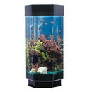 Midwest Tropical Hexagon AquaScape - 15 Gallon Freshwater Acrylic Aquarium (TT-1500)