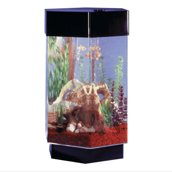 Midwest Tropical Hexagon AquaScape - 8 Gallon Freshwater Acrylic Aquarium (TT-800)