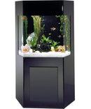Midwest Tropical Shadow Box AquaCustom Aquarium - 50 Gallon Freshwater Acrylic (SB-1)