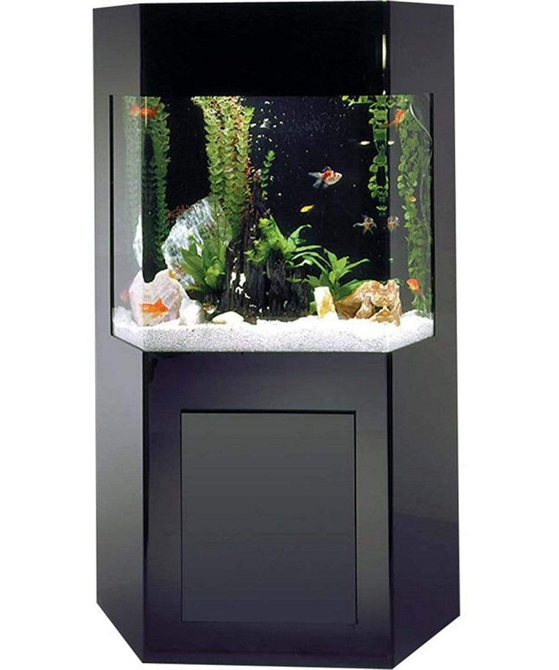 Midwest Tropical Shadow Box AquaCustom Aquarium - 50 Gallon Freshwater Acrylic (SB-1) Midwest Tropical Shadow Box AquaCustom Aquarium - 50 Gallon Freshwater Acrylic (SB-1)